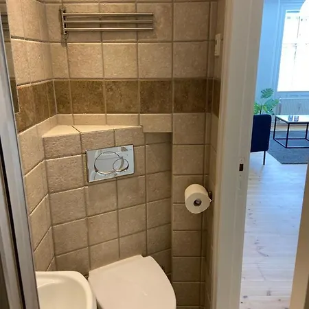 Viborggade Apartament Kopenhaga
